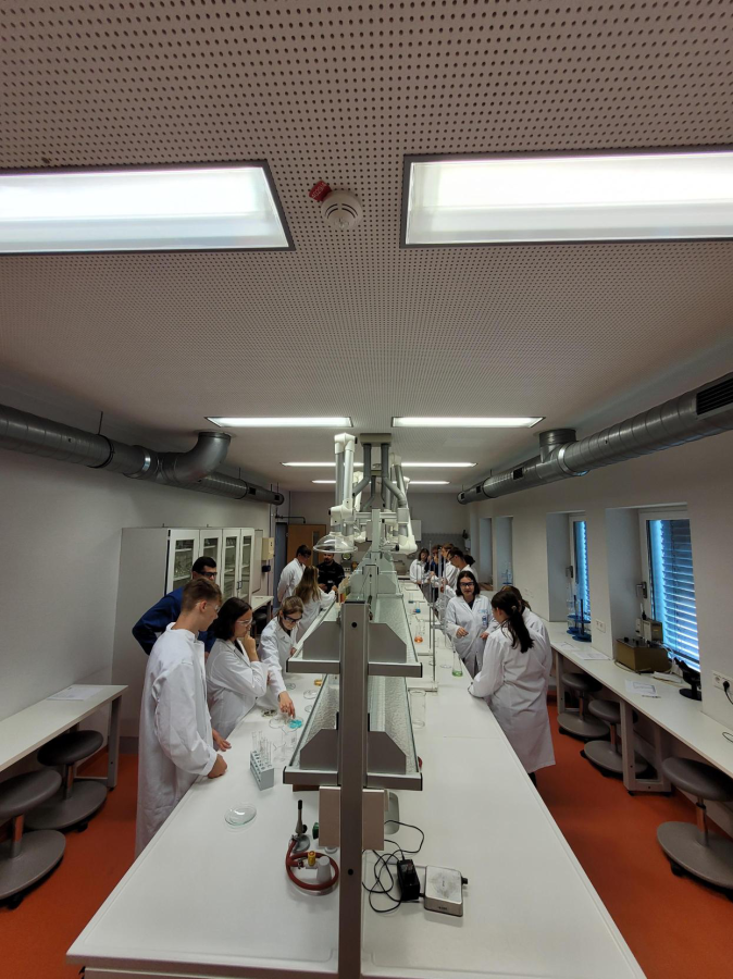 Berufserlebnistag 2023 im SKW LucasCranachGymnasium Wittenberg